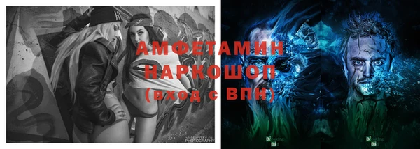 стафф Алексин