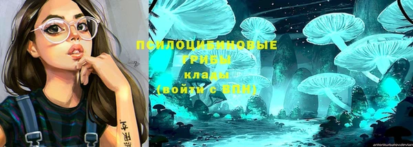 гашик Абинск