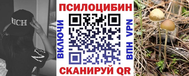 Галлюциногенные грибы Psilocybine cubensis  Кашира 