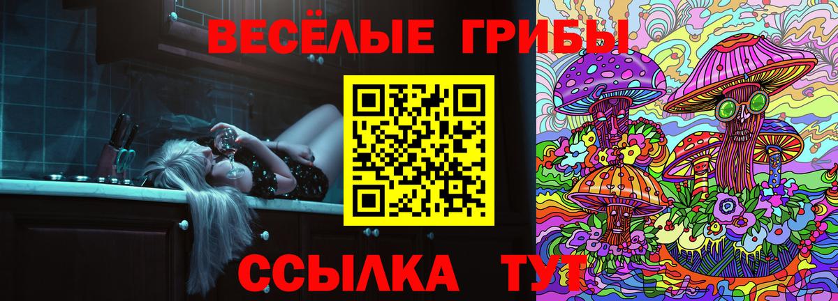 что такое наркотик  Псилоцибиновые грибы мухоморы  Вход с VPN  Кашира 